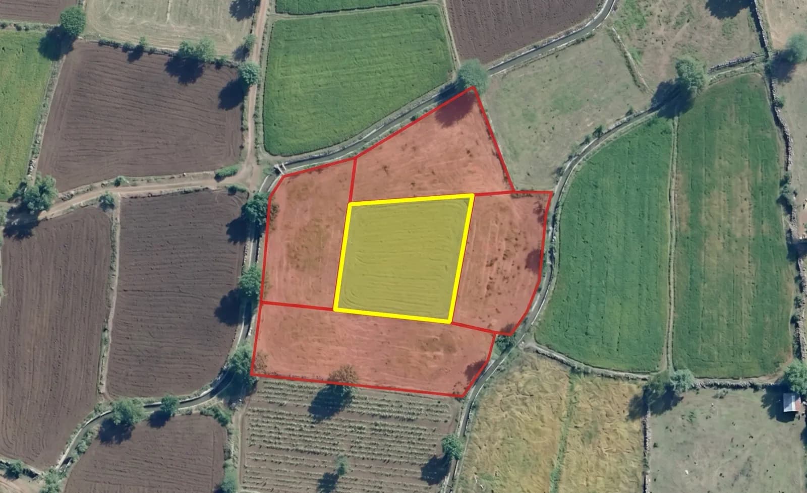 Satellite overlay of a target plot in yellow with adjacent neighbour plots outlined in red
